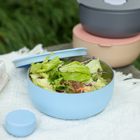 Boîte Tiffin sans BPA bols à salade de déjeuner de haute qualité Logo personnalisé pour voyage Camping motif de dessin animé en plein air