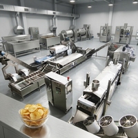 Productielijn voor aardappelchips, nieuw model 2026, met automatisch smaakspuitsysteem voor de productie van snacks met meerdere smaken