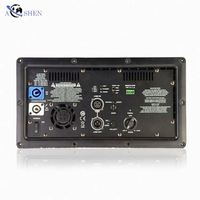 Module d'amplificateur actif en métal de classe D 1000W de l'usine Aoshen pour caisson de basses