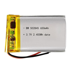 Oem bán sỉ hoe bán Pin chất lượng cao <span class=keywords><strong>lithium</strong></span> bw502845 3.7V <span class=keywords><strong>650</strong></span> <span class=keywords><strong>mAh</strong></span> <span class=keywords><strong>Lithium</strong></span> Ion Polymer Pin cho dụng cụ làm đẹp - Product Image 1