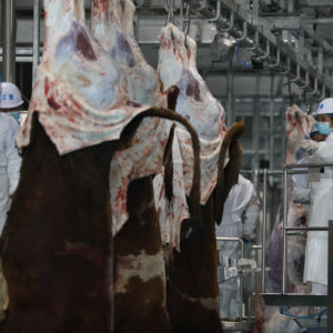 Système automatique de <span class=keywords><strong>boucherie</strong></span> et de transformation, abattoir en acier inoxydable, équipement d'abattage, ligne de <span class=keywords><strong>boucherie</strong></span> - Product Image 1