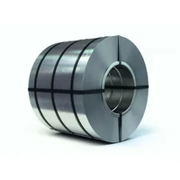 Bobine d'acier galvanisé prépeint PPGI 1,0 mm couleur RAL pour tôles de toiture