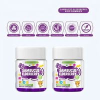 HDK Sambucs Elderberry Kids Gummies OEM ODM Vitamines Gélifiées Personnalisées pour Enfants Soutien Immunitaire