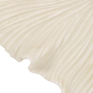 Arte Murale in Resina a Forma di Conchiglia, Sculture Organiche Incorniciate per Decorazione Casa - Product Image 5
