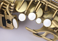 Factory Wholesale Woodwind Instrument Good Quality High Grade Bb Curved Soprano Saxophone for Child
