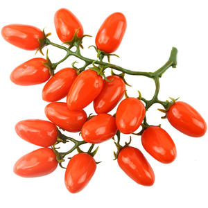 Faux Fruit Tomate Modèle Petite Tomate Affichage Article Photographie Éducation Précoce Jouet Décoration En Plastique Artificielle <span class=keywords><strong>Cerise</strong></span> Tomate - Product Image 5