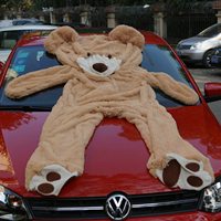 Housse de grand ours en peluche personnalisée (non rembourrée), meilleur cadeau pour petite amie pour la Saint-Valentin