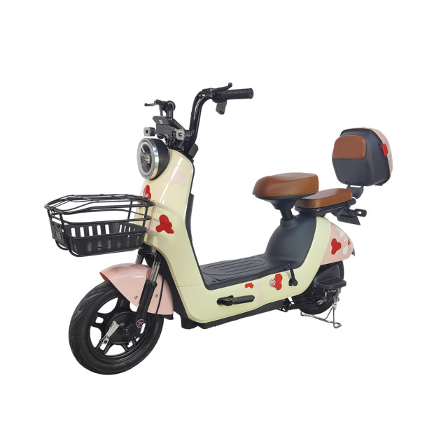 China Steel Frame Electric City Bike E Bikes City Sports 48V/60v Scooter Electric Bicycle Electric Bicycle