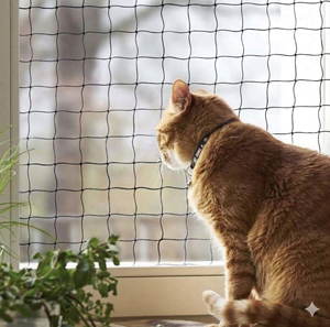 <span class=keywords><strong>Filet</strong></span> de protection pour balcon et fenêtre, anti-morsure, extra résistant, de qualité supérieure, renforcé par des fils, pour la sécurité des chats - Product Image 5