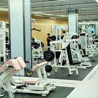 Máquina de Ejercicios Multifuncional de Titanio con Estructura de Acero, Características de Seguridad, Entrenamiento de Fuerza para Espalda y Brazos, Uso Comercial