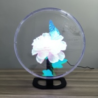 Ventilateur holographique 3D LED G224-32 32 cm à vente chaude avec système gratuit Ventilateur LED 3D Affichage holographique 3D avec couvercle de protection