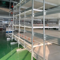 Système de cage à poulets à griller de type H à plusieurs niveaux avec alimentation et arrosage automatiques.