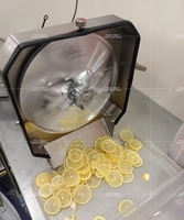 Fruit & Groente Snijmachine Bananensnijmachine Komkommer Snijmachine Citroen Tomaat Snijmachine Groentesnijder Te Koop