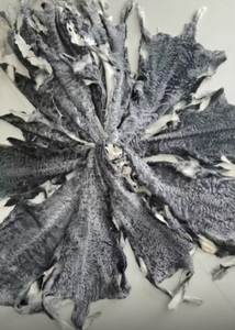 Fabriek Groothandel Levering <span class=keywords><strong>Karakul</strong></span> Schapenhuid <span class=keywords><strong>Karakul</strong></span> Lamsvel Pelt <span class=keywords><strong>Karakul</strong></span> Baby Lamsbont - Product Image 4