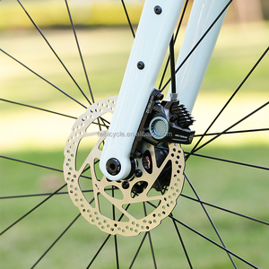 Bicicleta de Gravel de Carbono 700c, 13 Velocidades, Cambio Electrónico Inalámbrico, Frenos de Disco Hidráulicos, Todoterreno, 9.9kg, Ligera, Gravel X - Product Image 5