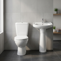 Ensemble Complet de 5 Pièces de Sanitaires de Salle de Bain en Céramique à Prix Économique avec Toilette et Lavabo sur Pied, Fournisseur Indien