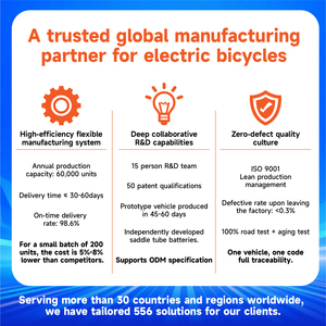 จักรยานเสือภูเขาไฟฟ้า Hottech 250W แบตเตอรี่ลิเธียม ขนาด 26 นิ้ว สำหรับผู้ใหญ่ พร้อมมอเตอร์ไร้แปรงถ่าน 36V <span class=keywords><strong>ราคา</strong></span>ดีที่สุด - Product Image 6