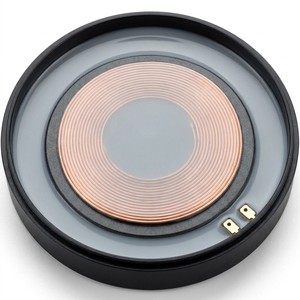 Gel de Silicona de Precisión Ultra Baja <span class=keywords><strong>CTE</strong></span> para Encapsulado Especializado en Computación Cuántica y Circuitos Superconductores - Product Image 1