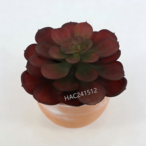 Suculenta Artificial <span class=keywords><strong>Echeveria</strong></span> en Maceta, Mini <span class=keywords><strong>Planta</strong></span> Suculenta Artificial, Pequeña Suculenta Artificial en Maceta Lista para Exhibir, Decoración para Hogar y Oficina - Product Image 5