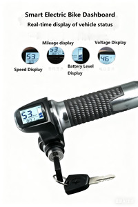 Medidor de voltaje del acelerador de bicicleta eléctrica de alta calidad con interruptor de pantalla <span class=keywords><strong>digital</strong></span> Fuente de alimentación Mecanismo de acelerador de Respuesta Rápida - Product Image 5