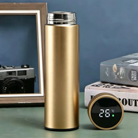Termo Inteligente Digital de 500 ml, Botella de Agua con Pantalla LED de Temperatura, Acero Inoxidable, con Filtro para Té