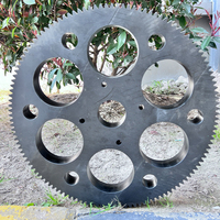 Engrenage robuste en nylon MC noir résistant aux chocs avec service de découpe d'épaisseurs de 5 mm à 50 mm pour la manutention des matériaux de machines de construction