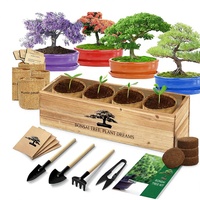 Kit d'outils de jardinage multifonctionnel transfrontalier le plus vendu ; Outils de plantation de bonsaï ; Kit de bonsaï pour débutants