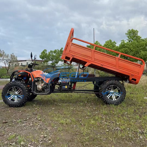 2025 Cool Design Mini Jeep électrique Jeep à quatre roues à essence Jeep classique à vendre - Product Image 5