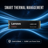 Disque SSD interne Lenovo LS800 40E PCIe Gen4 M.2 NVMe 256 Go 512 Go 1 To 2 To 5300 Mo/s 3D NAND pour studio photo professionnel