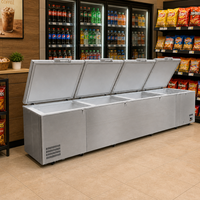 Congélateur coffre horizontal à porte pleine à refroidissement direct pour la logistique de la chaîne du froid - Vente en gros