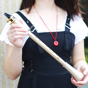 <span class=keywords><strong>Clarinete</strong></span> de Bolsillo Mini IRIN, Afinación en Mi, Resina ABS, Instrumento de Viento para Principiantes, Venta al Por Mayor - Product Image 4