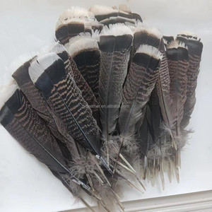 ขนนกไก่งวงธรรมชาติขนาด6-8นิ้วสำหรับตกแต่ง - Product Image 3