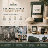 Gran Venta de cuentas de cera de soja, venta al por mayor, Gránulos de cera de soja de alto punto de fusión, Gránulos de cera de soja Natural para moldes, fabricación de velas
