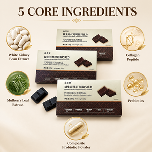 Chocolat Probiotique en Gros pour le Soutien Digestif et la Prise de Masse Musculaire – Protéine de Lactosérum Adaptée au Fitness et au Remodelage Corporel - Product Image 1
