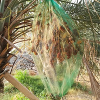 Fruitboom Bescherm Mono Mesh Net Groene Pe Dadelzak Palm Dadelzak Voor Dadels Vruchtbedekking