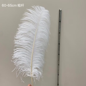 <span class=keywords><strong>Piume</strong></span> <span class=keywords><strong>di</strong></span> struzzo grandi all'ingrosso per centrotavola <span class=keywords><strong>di</strong></span> matrimoni, decorazioni per tavoli, <span class=keywords><strong>piume</strong></span> <span class=keywords><strong>di</strong></span> struzzo <span class=keywords><strong>bianche</strong></span> naturali sfuse - Product Image 5