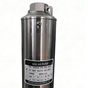 5HP Lai Thủy Lợi Cao Có Thể Điều Chỉnh Điều Khiển Tốc Độ Động Cơ Chạy Bảo Vệ Sâu Vâng Năng Lượng Mặt Trời Chìm Máy Bơm Nước Máy - Product Image 4