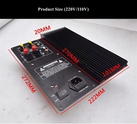 GGDX Meilleure Vente Amplificateur Domestique 110V/220V Ampli de Puissance Numérique Classe D pour Basses 300W-600W pour Enceintes de Théâtre
