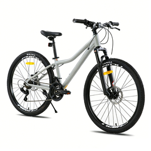 Fabricante de Bicicletas de Montaña OEM/ODM, Bicicleta de Montaña de 26 Pulgadas de Aleación de Aluminio, 21 Velocidades, Horquilla con Suspensión, Diseño y Logotipo Personalizados, Grupo Personalizado - Product Image 4