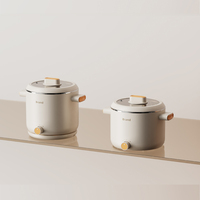 Appareils électroménagers, bouilloire électrique multifonction, marmite de cuisson électrique, cuiseur à œufs, cuiseur à légumes et à riz