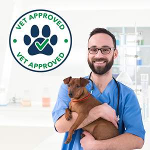 Probióticos para Perros con Prebióticos, Marca Privada OEM ODM, Promueve un Microbioma Intestinal Equilibrado, Refuerza la Salud Inmunológica, Masticables Blandos - Product Image 2