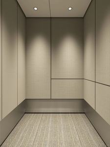 Ascenseur commercial pour passagers 800 kg Ascenseurs résidentiels Ascenseurs pour maisons Ascenseur résidentiel - Product Image 6