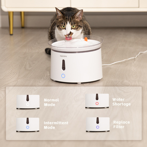 Fontanella Elettrica Automatica da 2,4L <span class=keywords><strong>per</strong></span> Animali Domestici, <span class=keywords><strong>Gatti</strong></span> e Cani - Product Image 3