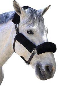 Cabestro para Caballo de Polo de Alta Calidad, Cosido a Mano, Cuero Vacuno Argentino, Estilo Silla de Montar Inglesa - Product Image 1