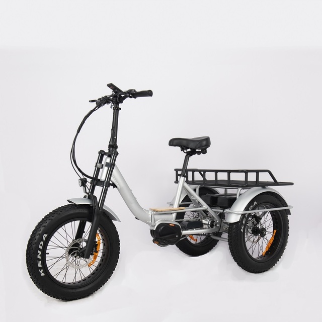 Factory Selling 3 Wheel Electric Bike Mid Drive Folding Cargo Electric Tricycle with 48v Lithium Battery Central Motor