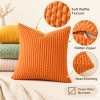Housse de coussin carrée en tissu gaufré pelucheux pour salon, textile d'intérieur décoratif