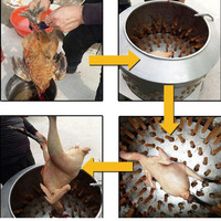 Meilleur prix pour une machine à plumer les poulets industrielle, machine à éplucher les volailles commerciale