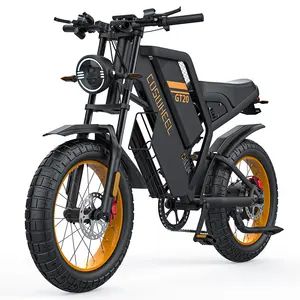 EU 미국 창고 레트로 먼지 지방 타이어 전자 자전거 COSWHEEL 1000w 모터 장거리 20*4.0 "도시 오프로드 지방 Ebike 250w 전기 자전거