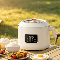 Mini cuiseur à riz intelligent pour 1 à 3 personnes, cuve intérieure en céramique antiadhésive, cuiseur à riz électrique, cuisson rapide, usage domestique