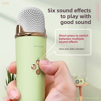 C20plus pour haut-parleur sans fil 5.0 avec microphone intégré, boîtier en plastique, micro karaoké pour enfants, cadeau pour filles, basses profondes
